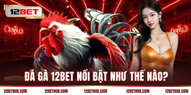 Đá gà 12BET nổi bật như thế nào?