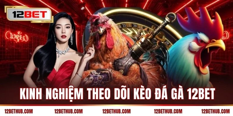 Kinh nghiệm theo dõi kèo đá gà 12BET
