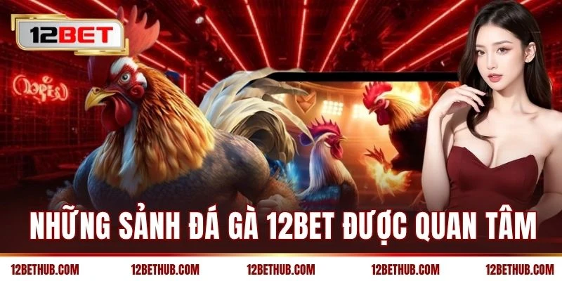 Những sảnh đá gà 12BET được quan tâm